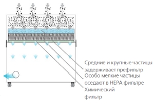 BOFA V2000